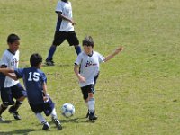 DSC 8262