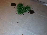 IMG 0077