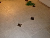 IMG 0078