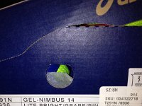 IMG 0093