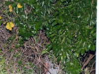 DSC 8656