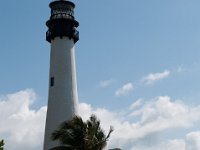DSC 8728