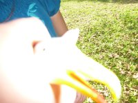 P1000532