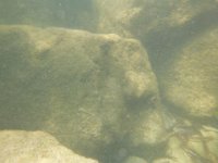 P1000557