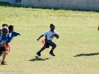 DSC 0701