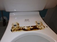 IMG 0354