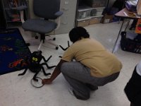 IMG 0398