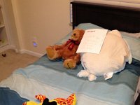 IMG 0285