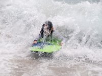 DSC 7017 : Beach Deerfield Chloe Luke Ella Surfing Waves