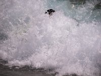DSC 7126 : Beach Deerfield Chloe Luke Ella Surfing Waves