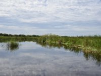 DSC 2500
