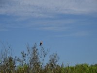 DSC 2519