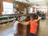 DSC 8197 : Chloe, Ella, Everglades, Luke