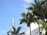 DSC 2401