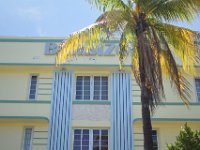 DSC 2407