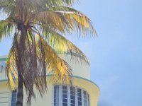 DSC 2410
