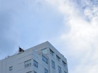 DSC 2439