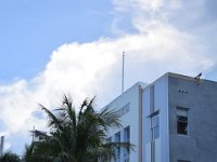 DSC 2443
