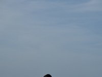 DSC 2676