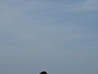 DSC 2677