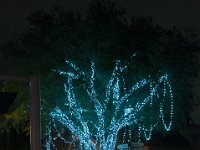 DSC 0001 : SeaWorld Orlando