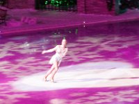 DSC 0037 : SeaWorld Orlando