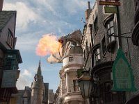 DSC 0064 : Universal Orlando Dec 2014