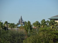 DSC 5290