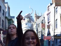 DSC 5348