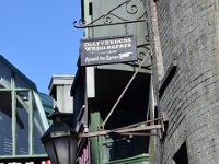 DSC 5396