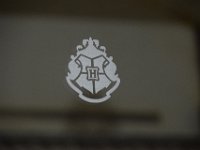 DSC 5422