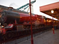 DSC 5425