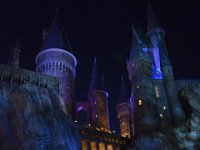 DSC 5439