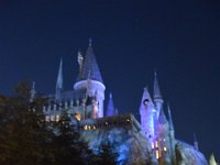 DSC 5441