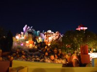 DSC 5447
