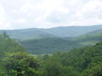 P1010329