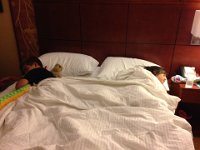 IMG 1173