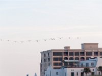 DSC 6552 : Jacksonville St Augustine