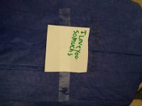 IMG 0919