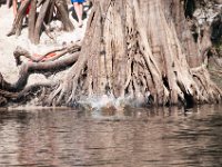 DSC 8930 : Indian Princess Peace River 2014 Apache