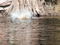 DSC 8998 : Indian Princess Peace River 2014 Apache