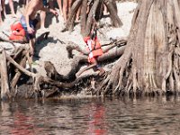 DSC 9036 : Indian Princess Peace River 2014 Apache