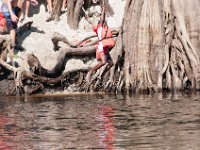 DSC 9038 : Indian Princess Peace River 2014 Apache