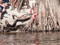 DSC 9040 : Indian Princess Peace River 2014 Apache