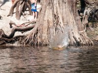 DSC 9063 : Indian Princess Peace River 2014 Apache
