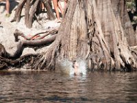 DSC 9122 : Indian Princess Peace River 2014 Apache