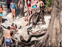 DSC 9137 : Indian Princess Peace River 2014 Apache