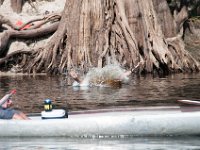 DSC 9194 : Indian Princess Peace River 2014 Apache