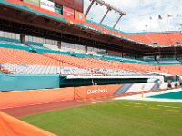 DSC 8755 : Dolphin Game Luke Virgin Atlantic