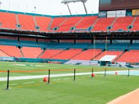 DSC 8763 : Dolphin Game Luke Virgin Atlantic